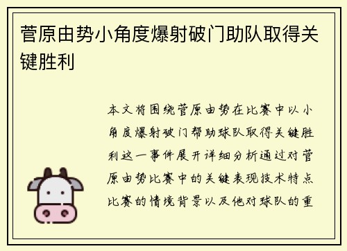菅原由势小角度爆射破门助队取得关键胜利